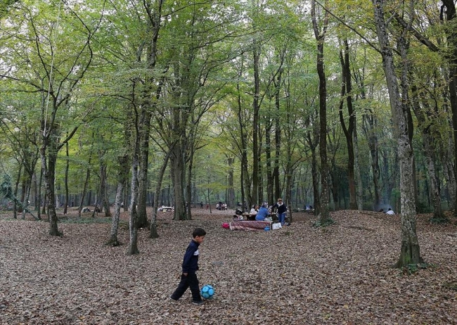 İstanbul'da yangınlara karşı 7 gün 24 saat teyakkuz